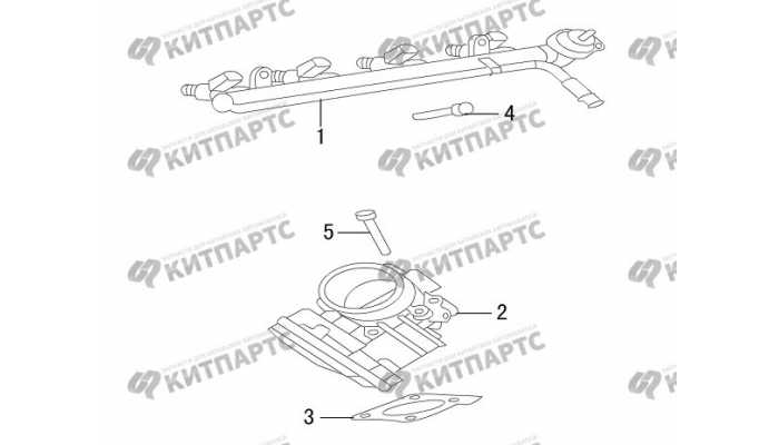 Дроссель, рампа топливная Great Wall DW Hower H5